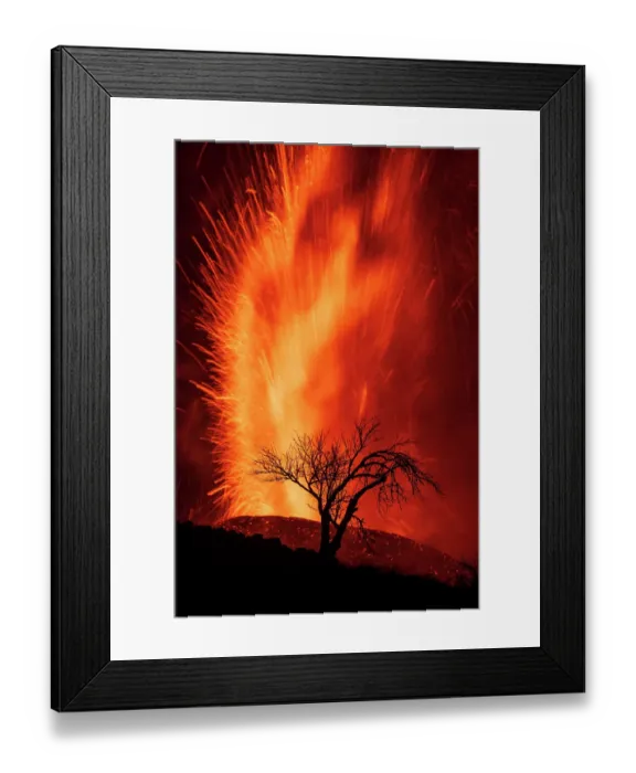Framed Print : Volcanic eruption with silhouette of tree, Cumbre Vieja Volcano, La Palma, Canary Islands. September 2021 Framed Print : Volcanic eruption with silhouette of tree, Cumbre Vieja Volcano, La Palma, Canary Islands. September 2021