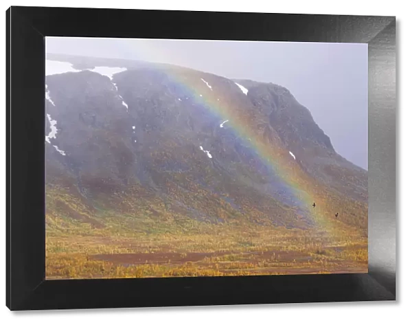 Mountain landscape and rainbow, Stora Sjoefallet National Park
