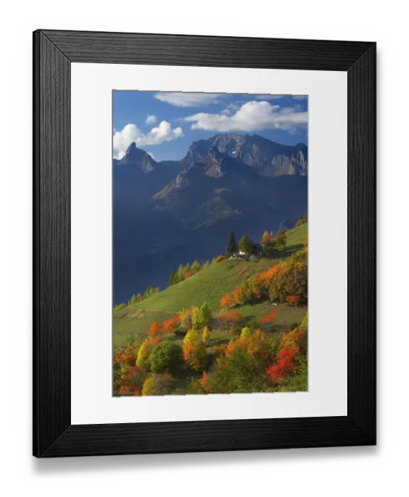 Framed Print : Autumn colours at Iserables above the Rhone Valley near Sion, la Valais, Switzerland Framed Print : Autumn colours at Iserables above the Rhone Valley near Sion, la Valais, Switzerland