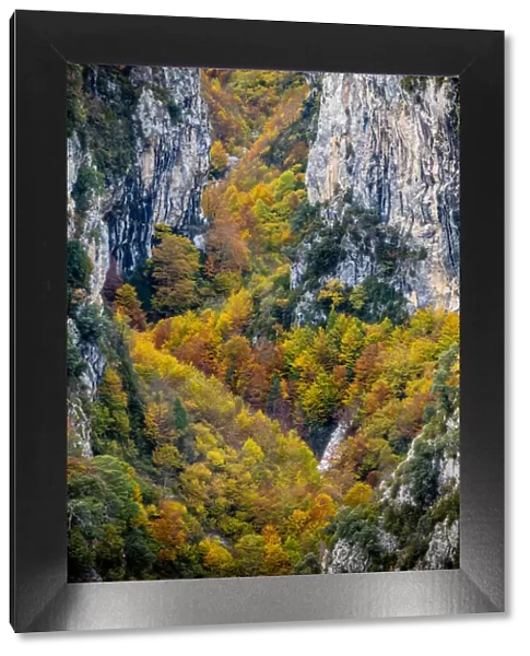 Escuain Canyon, Autumm, Ordesa National Park, Pyrenees, Aragon, Spain