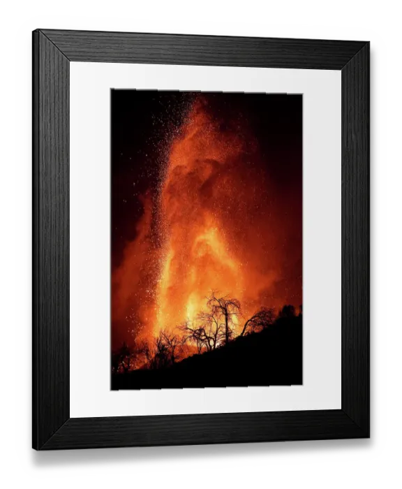 Framed Print : Trees silhouetted against erupting Cumbre Vieja volcano at night, La Palma, Canary Islands, September 2021 Framed Print : Trees silhouetted against erupting Cumbre Vieja volcano at night, La Palma, Canary Islands, September 2021