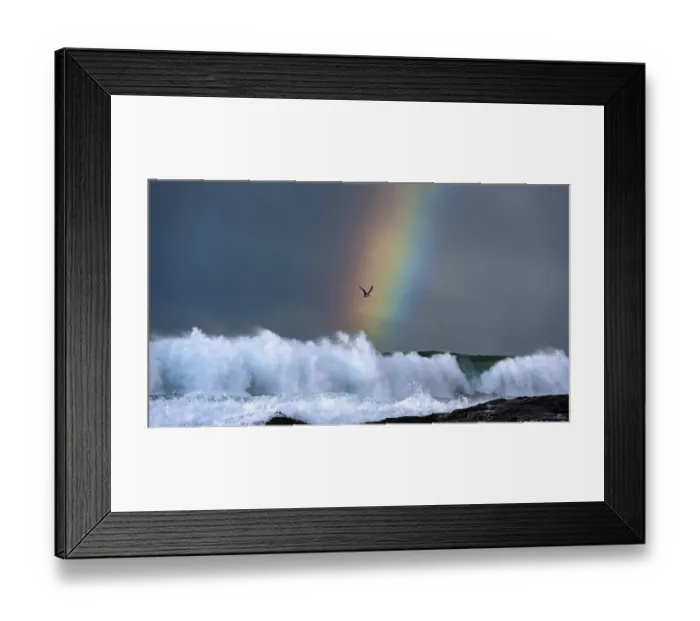 Framed Print : Greater crested tern (Thalasseus bergii) flies over breaking waves on a stormy day Framed Print : Greater crested tern (Thalasseus bergii) flies over breaking waves on a stormy day