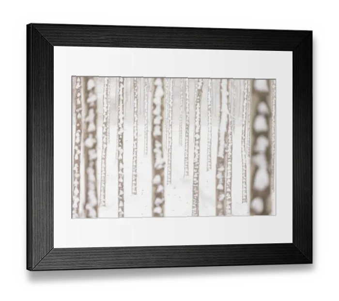 Framed Print : Snow covered trees in the Sotos del Alfaro Natural Reserve, Alfaro, La Rioja province, Spain. January
