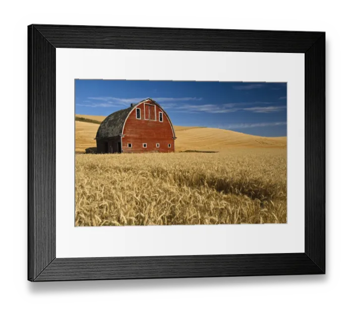 Framed Print : Barn and wheat field in the Palouse farming area of southeastern Washington, USA, August Framed Print : Barn and wheat field in the Palouse farming area of southeastern Washington, USA, August