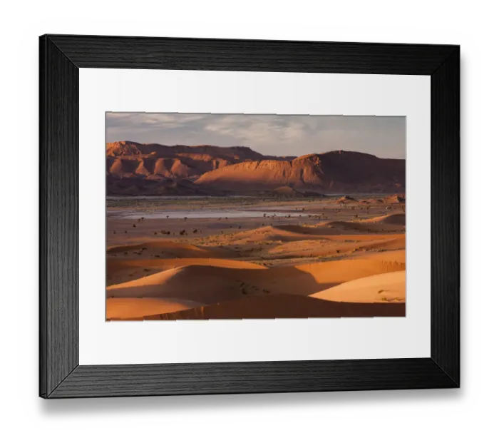 Framed Print : Landscape showing diversity of Saharan ecosystem, Sahara desert