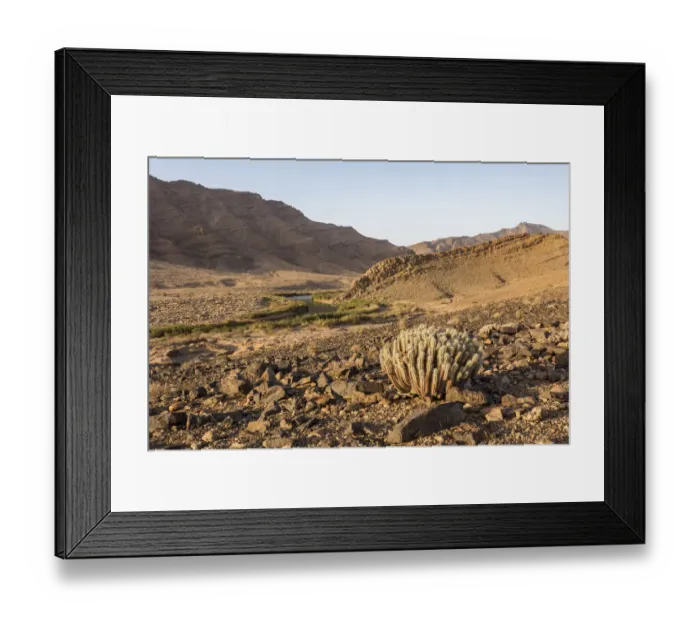 Framed Print : Guelta / water ponds in the low Draa valley. Southern Morocco, Africa. March, 2020 Framed Print : Guelta / water ponds in the low Draa valley. Southern Morocco, Africa. March, 2020