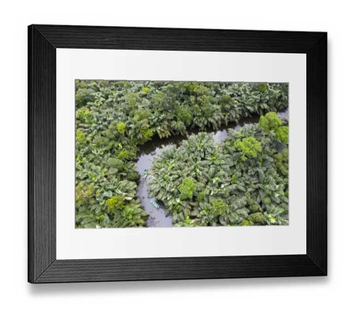 Framed Print : Aerial view of mangrove forest, Conkouati-Douli National Park, Republic of Congo, Africa Framed Print : Aerial view of mangrove forest, Conkouati-Douli National Park, Republic of Congo, Africa