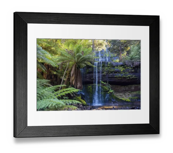Framed Print : Russel Falls, Mt Field National Park, Tasmania, Australia. April, 2016 Framed Print : Russel Falls, Mt Field National Park, Tasmania, Australia. April, 2016