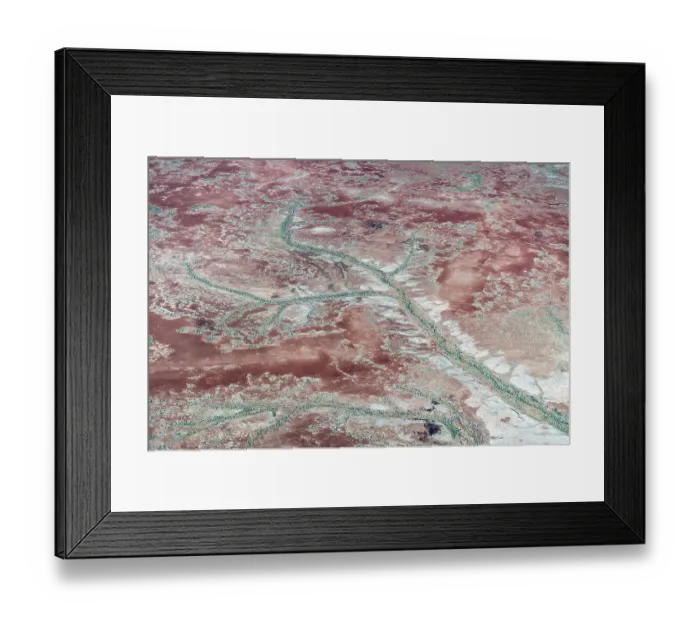 Framed Print : Vegetation flourishes in the river channels and surrounds as a result of uncommonly high local rainfall in a desert. Anna Creek Station, South Australia, March 2022 Framed Print : Vegetation flourishes in the river channels and surrounds as a result of uncommonly high local rainfall in a desert. Anna Creek Station, South Australia, March 2022