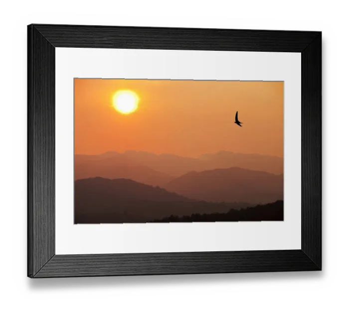 Framed Print : View of sunset over mountains with flying swift, from Windermere, Lake District National Park, Cumbria, UK. April, 2011 Framed Print : View of sunset over mountains with flying swift, from Windermere, Lake District National Park, Cumbria, UK. April, 2011