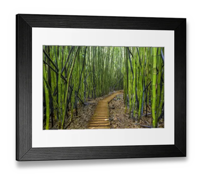Framed Print : A raised wooden walkway through the bamboo forest that leads to Waimoku Falls, Haleakala National Park, Maui, Hawaii. November, 2016 Framed Print : A raised wooden walkway through the bamboo forest that leads to Waimoku Falls, Haleakala National Park, Maui, Hawaii. November, 2016