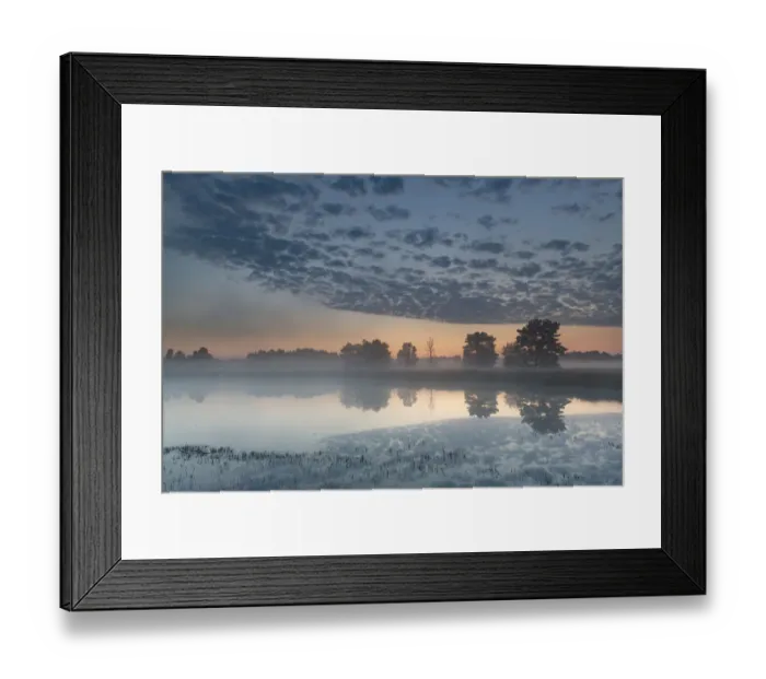 Framed Print : Misty lake at dawn, Klein Schietveld Nature Reserve, Brasschaat, Belgium. July, 2021 Framed Print : Misty lake at dawn, Klein Schietveld Nature Reserve, Brasschaat, Belgium. July, 2021