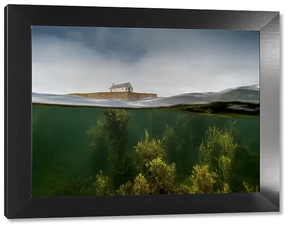 Split level image of the tiny chapel of St Cwyfan, surrounded by sea at high tide and underwater forests of mixed seaweed near Aberffraw, Anglesey, Wales, Irish Sea, UK. July