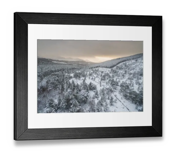 Framed Print : Aerial view of snow covered natural forest at the edge of plantation forest, Ryvoan Pass, Glenmore, Highlands, Scotland, UK. December, 2017 Framed Print : Aerial view of snow covered natural forest at the edge of plantation forest, Ryvoan Pass, Glenmore, Highlands, Scotland, UK. December, 2017