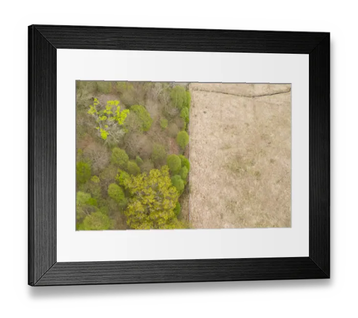 Framed Print : Aerial view of spring woodland protected by deer fence, Isle of Mull, Scotland, UK. May, 2019 Framed Print : Aerial view of spring woodland protected by deer fence, Isle of Mull, Scotland, UK. May, 2019