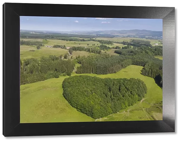 Aerial view of woodland, Argaty Red Kites farm, Stirling, Scotland, UK. July, 2021