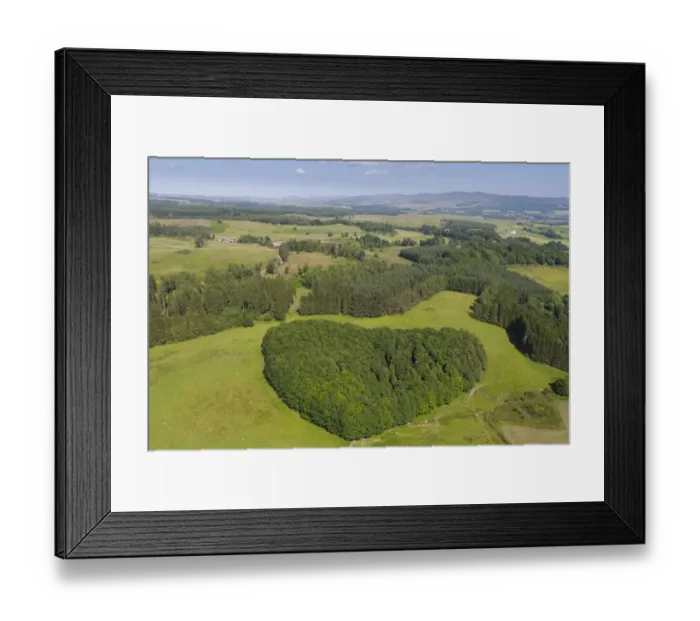 Framed Print : Aerial view of woodland, Argaty Red Kites farm, Stirling, Scotland, UK. July, 2021 Framed Print : Aerial view of woodland, Argaty Red Kites farm, Stirling, Scotland, UK. July, 2021