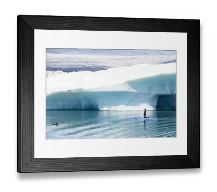 Framed Print : Woman paddling alongside curious Harbor seal (Phoca vitulina). Jokulsarlon Glacier Lagoon, Iceland. July Framed Print : Woman paddling alongside curious Harbor seal (Phoca vitulina). Jokulsarlon Glacier Lagoon, Iceland. July