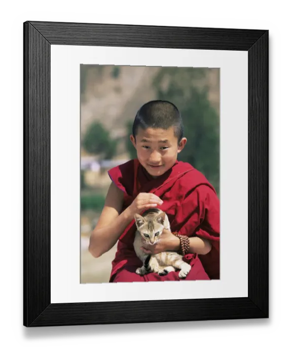 Framed Print : Young buddhist monk holding cat, Punakha Dzong, Central Bhutan 2001 Framed Print : Young buddhist monk holding cat, Punakha Dzong, Central Bhutan 2001