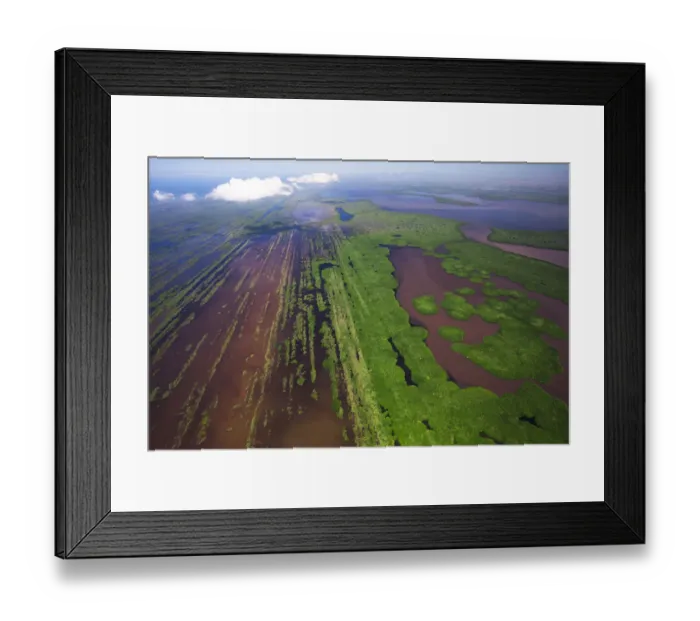 Framed Print : Aerial view of the parallel bars at Marismas Nacionales, the largest mangrove coastal ecosystem in the Mexican Pacific and habitat for the Jaguar, Nayarit, Mexico. October Framed Print : Aerial view of the parallel bars at Marismas Nacionales, the largest mangrove coastal ecosystem in the Mexican Pacific and habitat for the Jaguar, Nayarit, Mexico. October