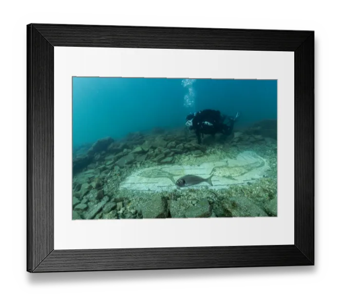 Framed Print : Scuba diver exploring ancient Roman mosaic from the third century AD, with maritime theme, made with black and white tessellatum tiles depicting seabed with dolphins, sea urchins, moray eels and other fish, in thermal complex of Lacus Baianus Framed Print : Scuba diver exploring ancient Roman mosaic from the third century AD, with maritime theme, made with black and white tessellatum tiles depicting seabed with dolphins, sea urchins, moray eels and other fish, in thermal complex of Lacus Baianus