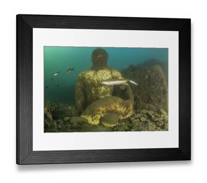 Framed Print : Statue depicting companion of Ulysses, perhaps Baio, located in submerged Nymphaeum of Emperor Claudius. Marine Protected Area of Baia, Naples, Italy. Tyrrhenian sea. statue encrusted with sealife Framed Print : Statue depicting companion of Ulysses, perhaps Baio, located in submerged Nymphaeum of Emperor Claudius. Marine Protected Area of Baia, Naples, Italy. Tyrrhenian sea. statue encrusted with sealife