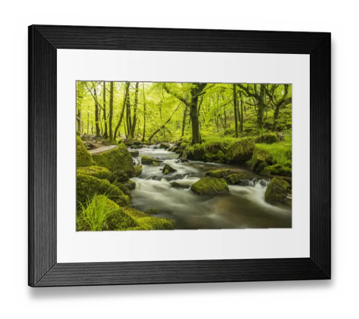 Framed Print : The River Fowey at Golitha Falls surrounded by forest in fresh spring foliage. Cornwall, UK. May Framed Print : The River Fowey at Golitha Falls surrounded by forest in fresh spring foliage. Cornwall, UK. May
