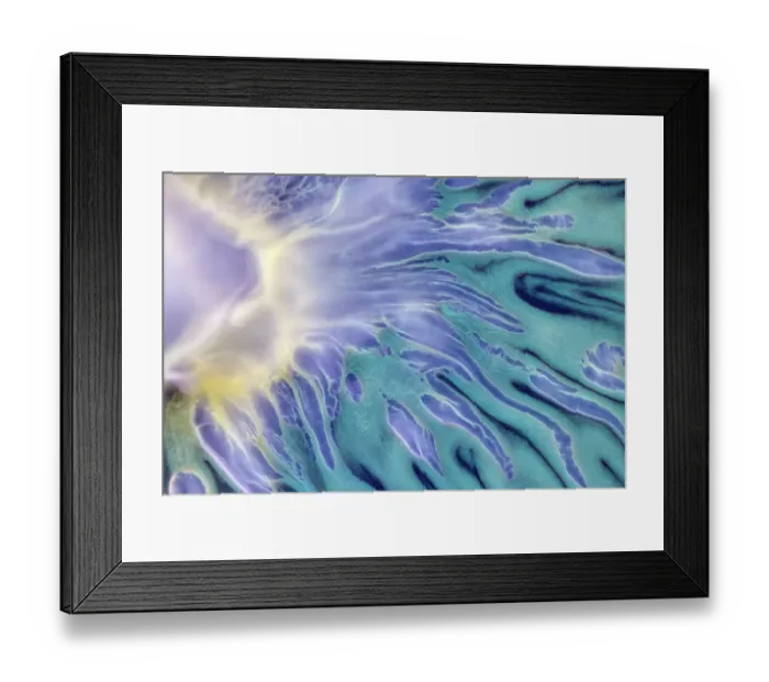 Framed Print : Soil bacteria cultured on nutrient agar from a soil sample collected in Via Gellia Woods, Derbyshire. Image size in real life 10mm across. UK. March. 10mm across, x10 magnification when printed 10cm wide Framed Print : Soil bacteria cultured on nutrient agar from a soil sample collected in Via Gellia Woods, Derbyshire. Image size in real life 10mm across. UK. March. 10mm across, x10 magnification when printed 10cm wide