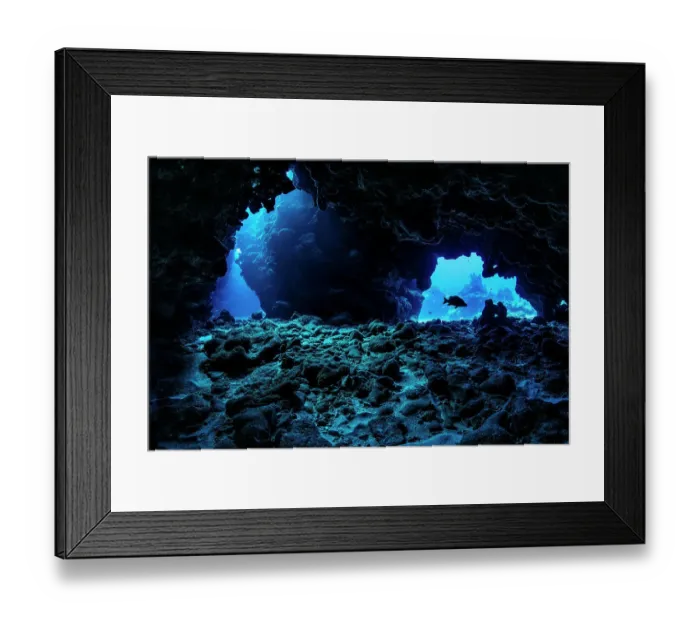 Framed Print : RF - Schoolmaster snapper (Lutjanus apodus) swimming through underwater caverns within a coral reef, Grand Cayman, Cayman Islands, Caribbean Sea. (This image may be licensed either as rights managed or royalty free.) Framed Print : RF - Schoolmaster snapper (Lutjanus apodus) swimming through underwater caverns within a coral reef, Grand Cayman, Cayman Islands, Caribbean Sea. (This image may be licensed either as rights managed or royalty free.)