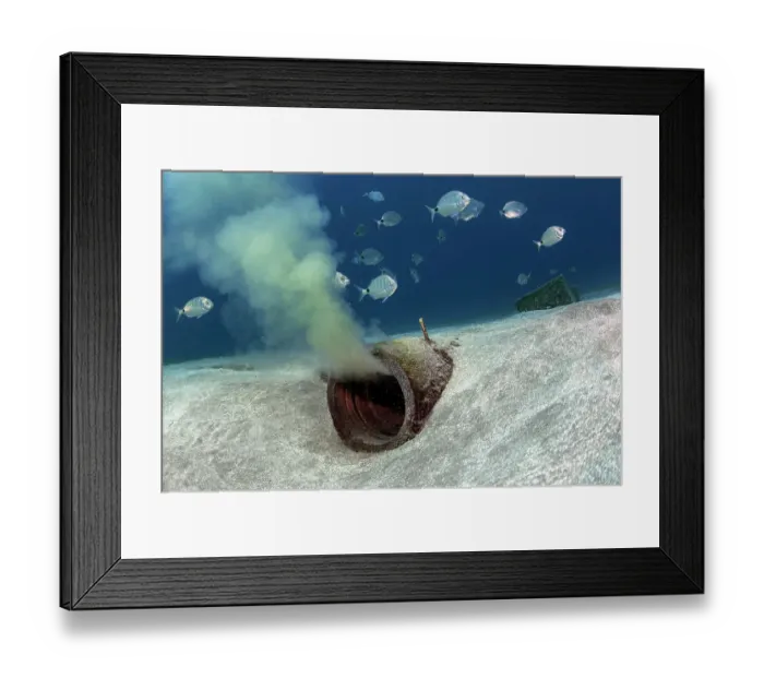 Framed Print : Shoal of fish swimming around an outfall pipe on the seabed discharging treated water, Tenerife, Canary Islands, Atlantic Ocean Framed Print : Shoal of fish swimming around an outfall pipe on the seabed discharging treated water, Tenerife, Canary Islands, Atlantic Ocean