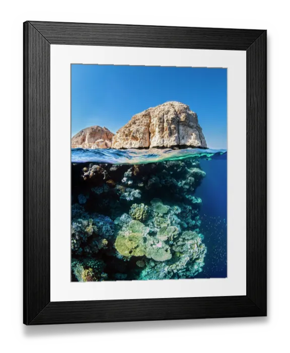 Framed Print : Coral reef below the cliffs of Shark Observatory, Ras Mohammed National Park, Sinai, Egypt, Red Sea Framed Print : Coral reef below the cliffs of Shark Observatory, Ras Mohammed National Park, Sinai, Egypt, Red Sea