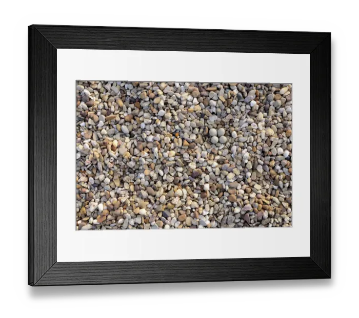 Framed Print : Little ringed plover {Charadrius dubius} nest with four eggs camouflaged on shingle, Lorraine, France Framed Print : Little ringed plover {Charadrius dubius} nest with four eggs camouflaged on shingle, Lorraine, France