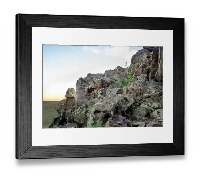 Framed Print : A female Pallas's cat (Otocolobus manul) with two young kittens hiding amongst rocks at their den site, Mongolia, June, 2017. Filmed for BBC series Big Cats Framed Print : A female Pallas's cat (Otocolobus manul) with two young kittens hiding amongst rocks at their den site, Mongolia, June, 2017. Filmed for BBC series Big Cats