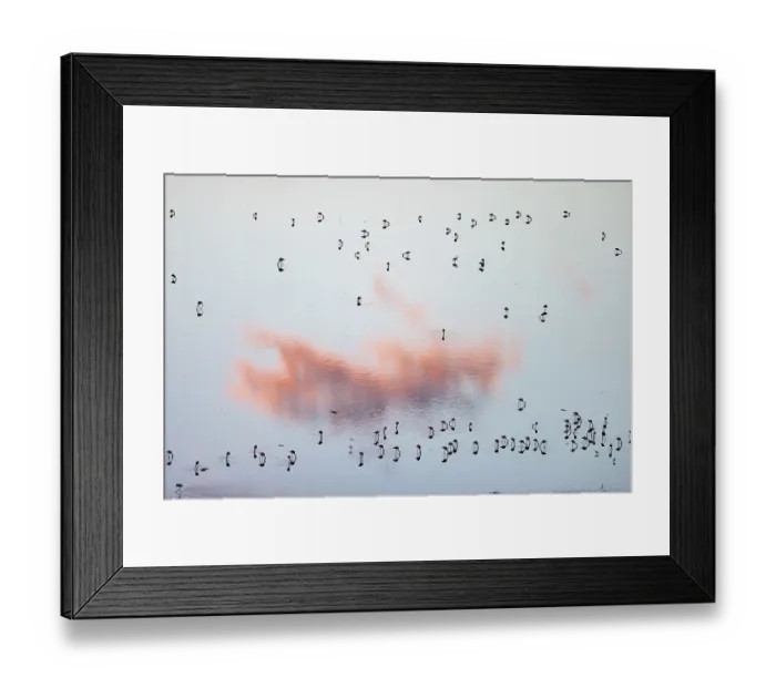 Framed Print : Aerial view of Lesser flamingos (Phoeniconaias minor) foraging at dusk. Lake Magadi, Great rift valley, Kenya Framed Print : Aerial view of Lesser flamingos (Phoeniconaias minor) foraging at dusk. Lake Magadi, Great rift valley, Kenya