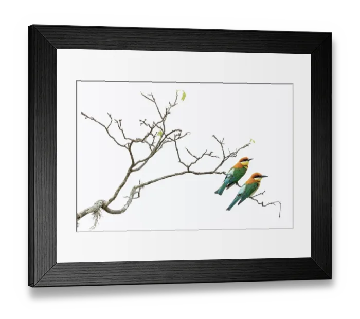 Framed Print : Two Chestnut-headed bee-eaters (Merops leschenaulti) perched on branch, Yala National Park, Southern and Uva Provinces, Sri Lanka Framed Print : Two Chestnut-headed bee-eaters (Merops leschenaulti) perched on branch, Yala National Park, Southern and Uva Provinces, Sri Lanka