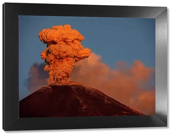 Ash plume erupting from Reventador volcano, El Chaco, Napo, Ecuador. October, 2020
