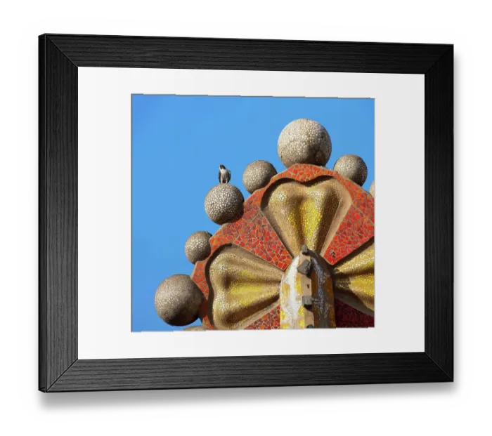 Framed Print : Peregrine falcon (Falco peregrinus) perched on top of mosaic tower, Sagrada Familia Basilica, Barcelona, Spain. April Framed Print : Peregrine falcon (Falco peregrinus) perched on top of mosaic tower, Sagrada Familia Basilica, Barcelona, Spain. April