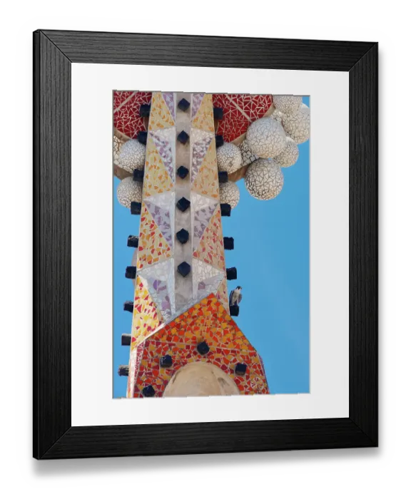Framed Print : Peregrine falcon (Falco peregrinus) perched on mosaic tower at Sagarada Familia Basilica, Barcelona, Catalonia, Spain. May Framed Print : Peregrine falcon (Falco peregrinus) perched on mosaic tower at Sagarada Familia Basilica, Barcelona, Catalonia, Spain. May