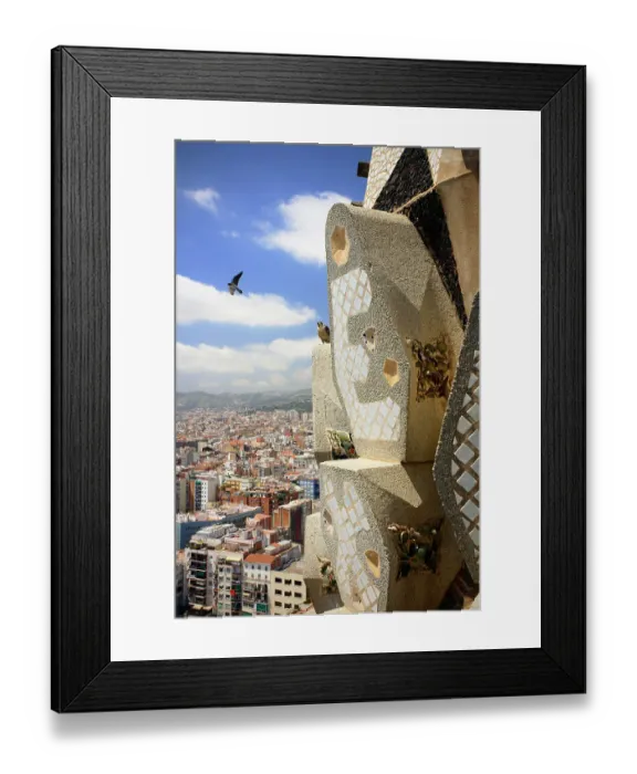 Framed Print : Peregrine falcon (Falco peregrinus) male, in flight with female perched on mosaic towers at the Sagrada Familia Basilica, Barcelona, Catalonia, Spain. May Framed Print : Peregrine falcon (Falco peregrinus) male, in flight with female perched on mosaic towers at the Sagrada Familia Basilica, Barcelona, Catalonia, Spain. May