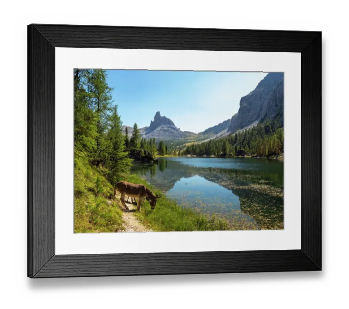 Framed Print : Donkeys at the edge of Lake Federa surrounded by mountain scenery, Dolomites, Italy. September Framed Print : Donkeys at the edge of Lake Federa surrounded by mountain scenery, Dolomites, Italy. September