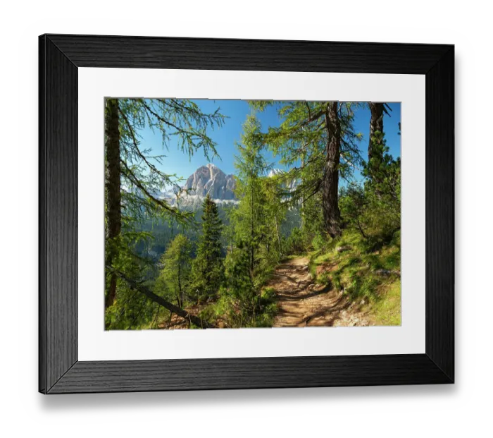 Framed Print : Mountain trail winding through forest on mountainside with Tofane mountains in background, Dolomites, Italy. September, 2020 Framed Print : Mountain trail winding through forest on mountainside with Tofane mountains in background, Dolomites, Italy. September, 2020