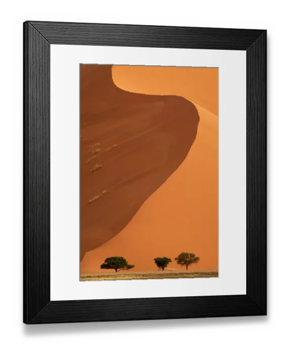 Framed Print : Sand dunes and acacia trees (Acacia sp.), Sossusvlei UNESCO World Heritage Site, Namib-Naukluft National Park, Namibia Framed Print : Sand dunes and acacia trees (Acacia sp.), Sossusvlei UNESCO World Heritage Site, Namib-Naukluft National Park, Namibia
