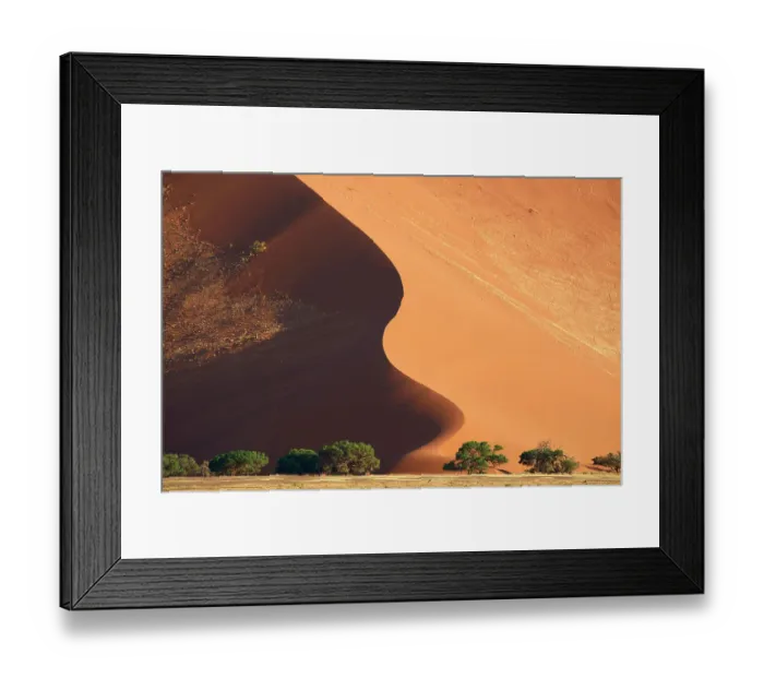 Framed Print : Sand dunes and acacia trees (Acacia sp.), Sossusvlei UNESCO World Heritage Site, Namib-Naukluft National Park, Namibia Framed Print : Sand dunes and acacia trees (Acacia sp.), Sossusvlei UNESCO World Heritage Site, Namib-Naukluft National Park, Namibia