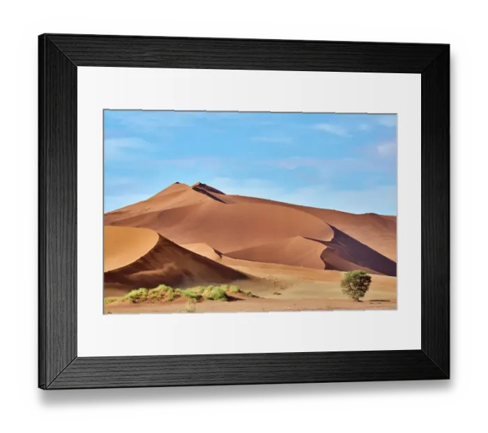 Framed Print : Sand dunes and acacia trees (Acacia sp. ), Sossusvlei UNESCO World Heritage Site, Namib-Naukluft National Park, Namibia Framed Print : Sand dunes and acacia trees (Acacia sp. ), Sossusvlei UNESCO World Heritage Site, Namib-Naukluft National Park, Namibia