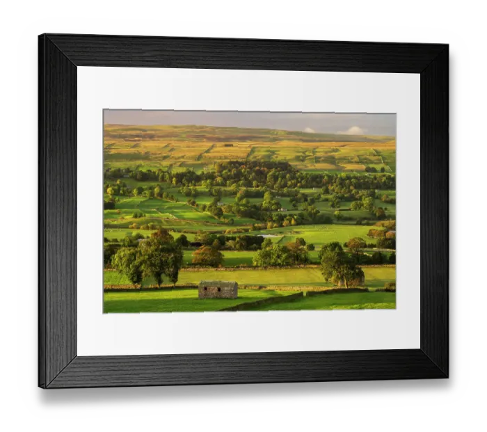 Framed Print : Barns and fields at dawn, Carperby, Yorkshire Dales, UK. October Framed Print : Barns and fields at dawn, Carperby, Yorkshire Dales, UK. October
