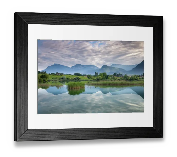 Framed Print : The Bauges Mountains reflected in St Andre lake at dawn, Haute-Savoie, France. June, 2022 Framed Print : The Bauges Mountains reflected in St Andre lake at dawn, Haute-Savoie, France. June, 2022