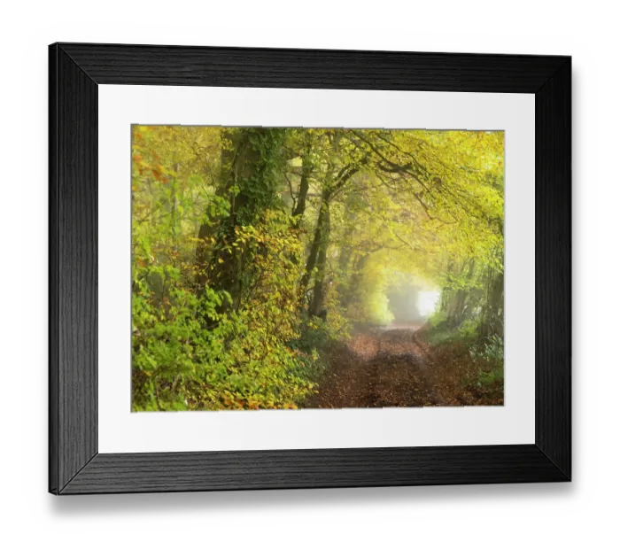 Framed Print : Country lane alongside beech and hazel woodland, near Nailsworth, Cotswolds, Gloucestershire, England, UK. November Framed Print : Country lane alongside beech and hazel woodland, near Nailsworth, Cotswolds, Gloucestershire, England, UK. November