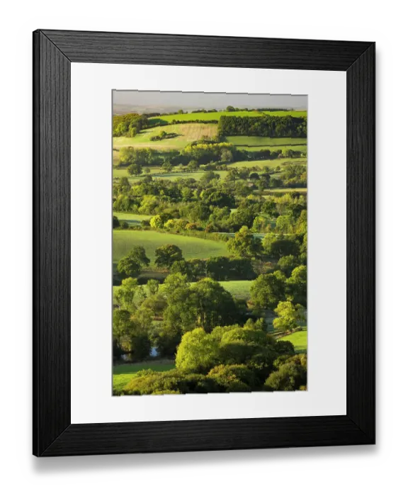Framed Print : View across fields, farmland and hedgerows in the rolling countryside around Ansty, Dorset, England, UK. October, 2022 Framed Print : View across fields, farmland and hedgerows in the rolling countryside around Ansty, Dorset, England, UK. October, 2022
