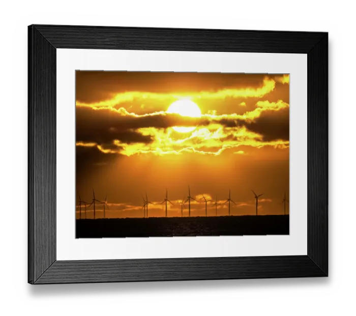 Framed Print : Wind turbines at The Walney offshore wind farm silhouetted at sunset, off Walney Island, Cumbria, UK. November, 2021 Framed Print : Wind turbines at The Walney offshore wind farm silhouetted at sunset, off Walney Island, Cumbria, UK. November, 2021