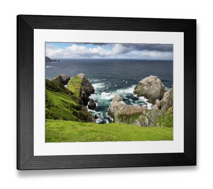 Framed Print : Northern gannets (Morus bassanus) breeding colony nesting on sea cliffs, Hermaness, Shetland, Scotland, UK. July Framed Print : Northern gannets (Morus bassanus) breeding colony nesting on sea cliffs, Hermaness, Shetland, Scotland, UK. July